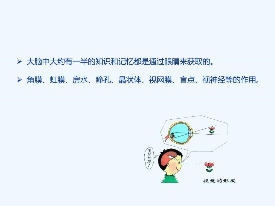 眼睛健康知识课件_第5页