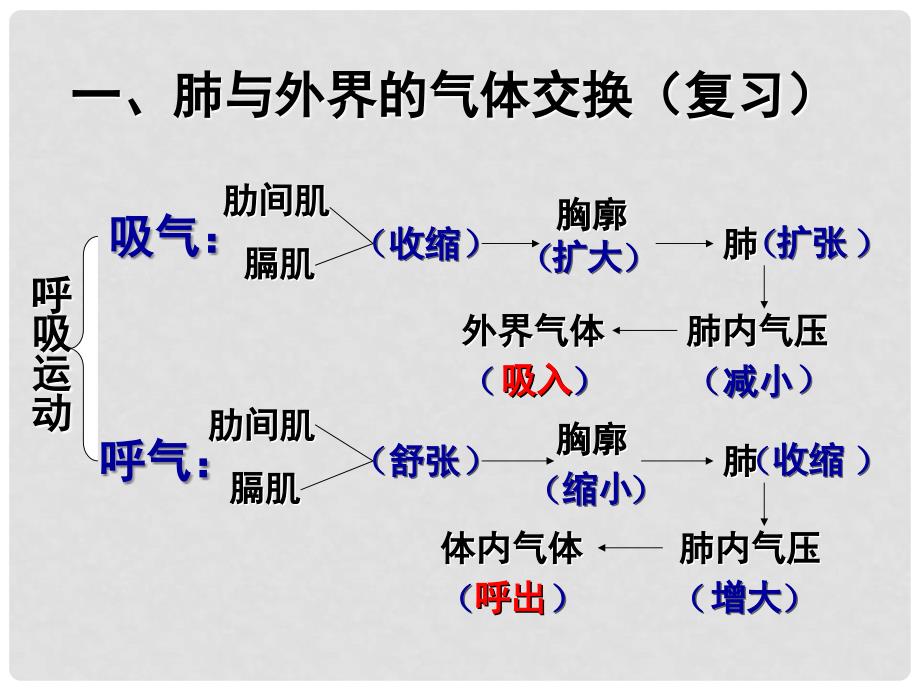 云南省曲靖市麒麟区第七中学七年级生物下册 第二节《发生在肺内的气体交换》课件 新人教版_第2页