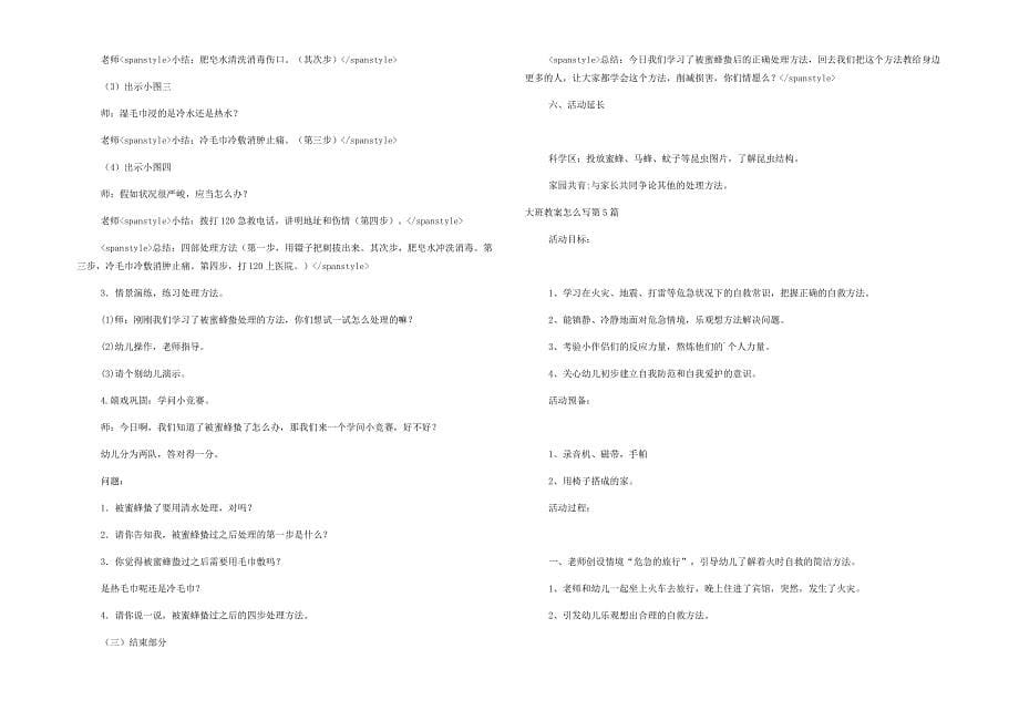 大班教案怎么写11篇_第5页