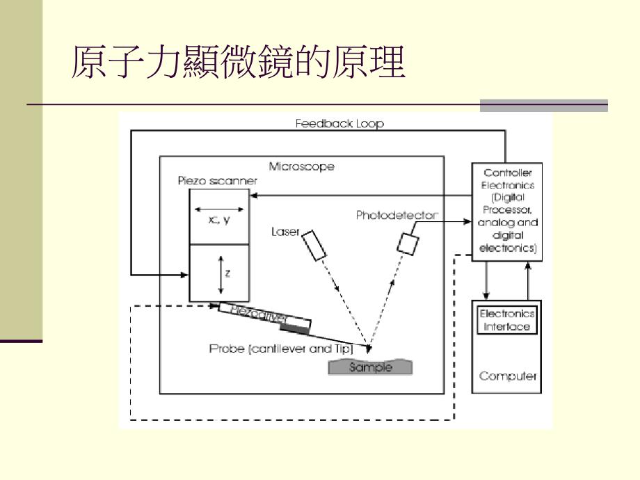 原子力显微镜系统_第3页