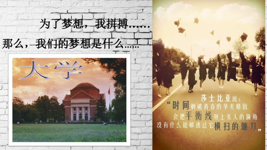 高中主题班会起航青春飞扬大学介绍PPT_第4页