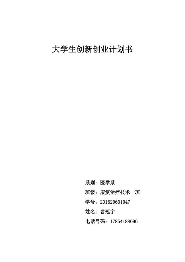 大学生创新创业计划书模板.doc