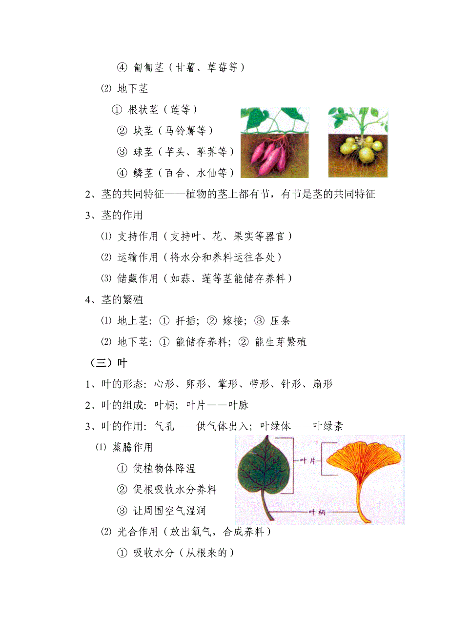 小学科学知识系统总结_第3页