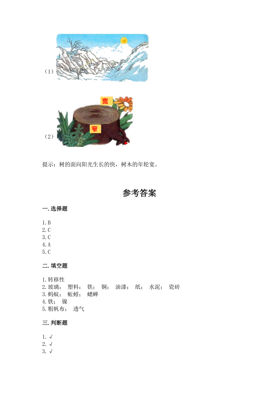 苏教版小学二年级下册科学期末测试卷及答案(名校卷).docx_第4页