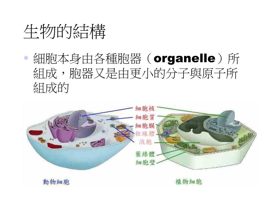 第七章生物学与生命科学课件_第3页