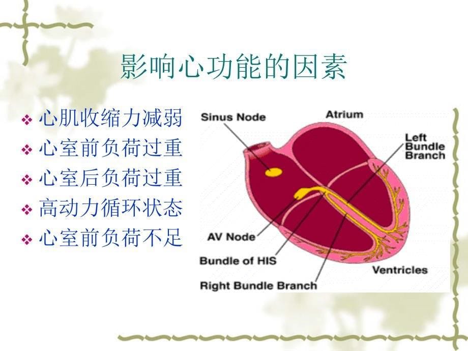 心肺功能训练技术课件_第5页