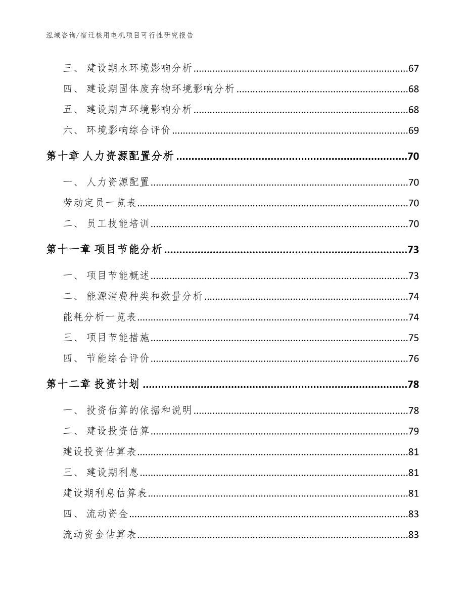 宿迁核用电机项目可行性研究报告_第3页