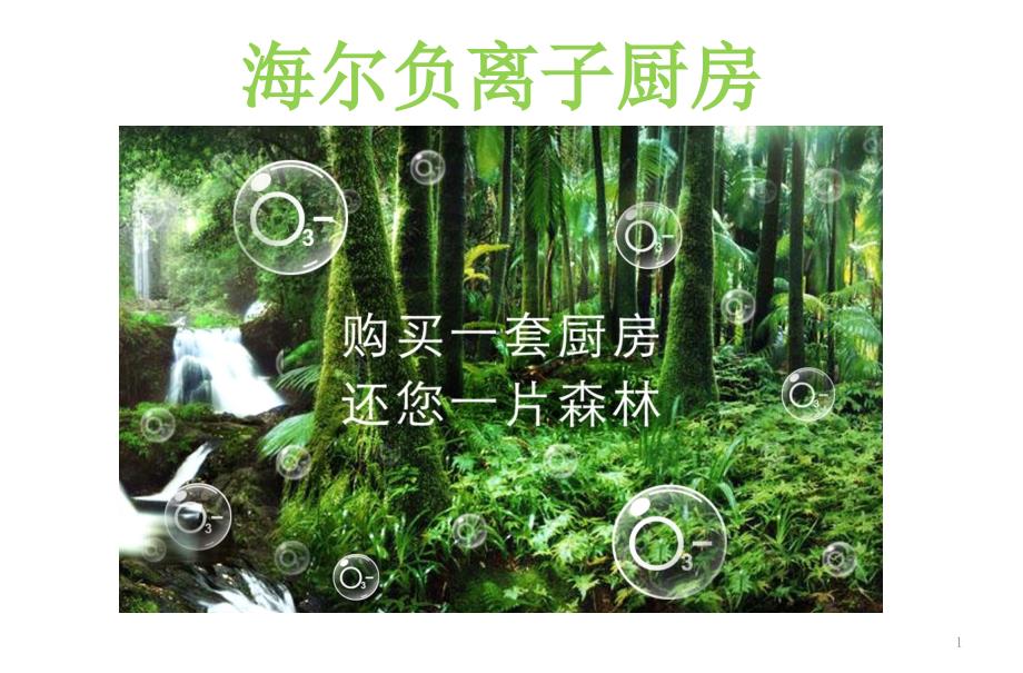 carsarte负离子厨房产品资料_第1页
