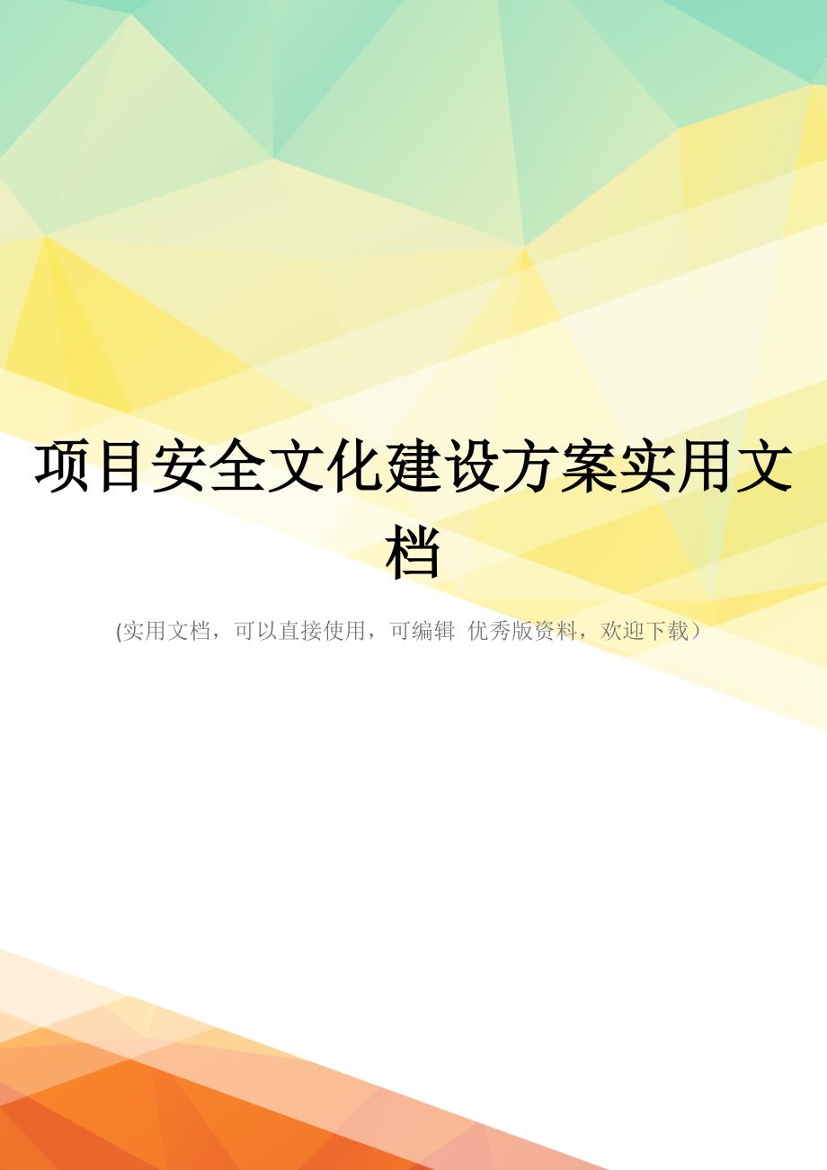 项目安全文化建设方案实用文档_第1页