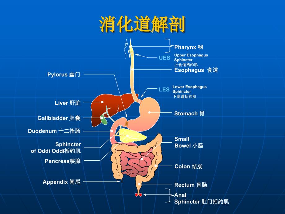 消化系统常用药鲁临文档资料_第1页