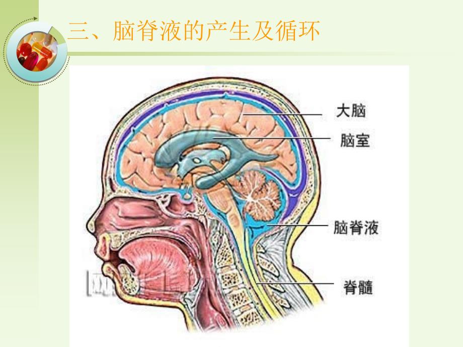 脑积水护理查房概述_第4页