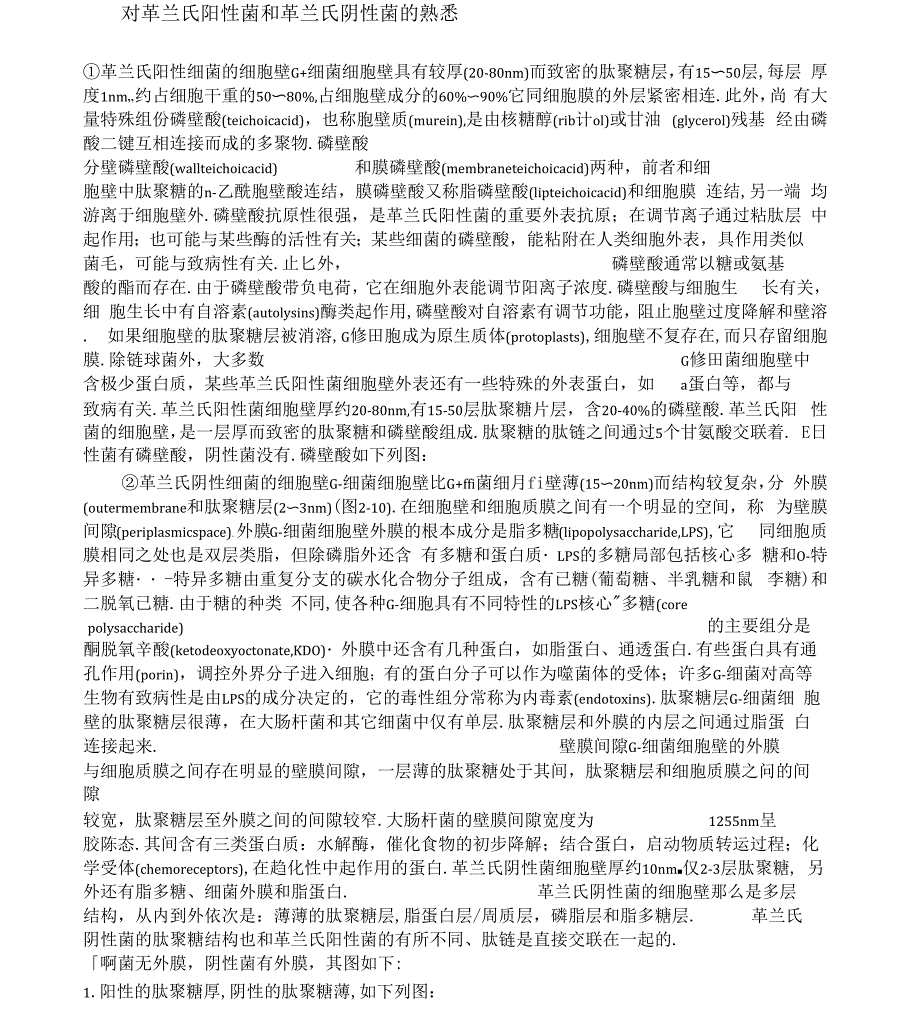 革兰氏阳性菌和革兰氏阴性菌细胞壁的构造_第1页