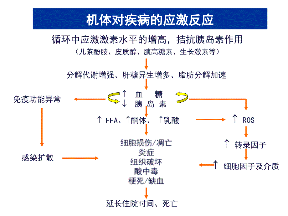 特殊人群的胰岛素应用第二版课件_第3页