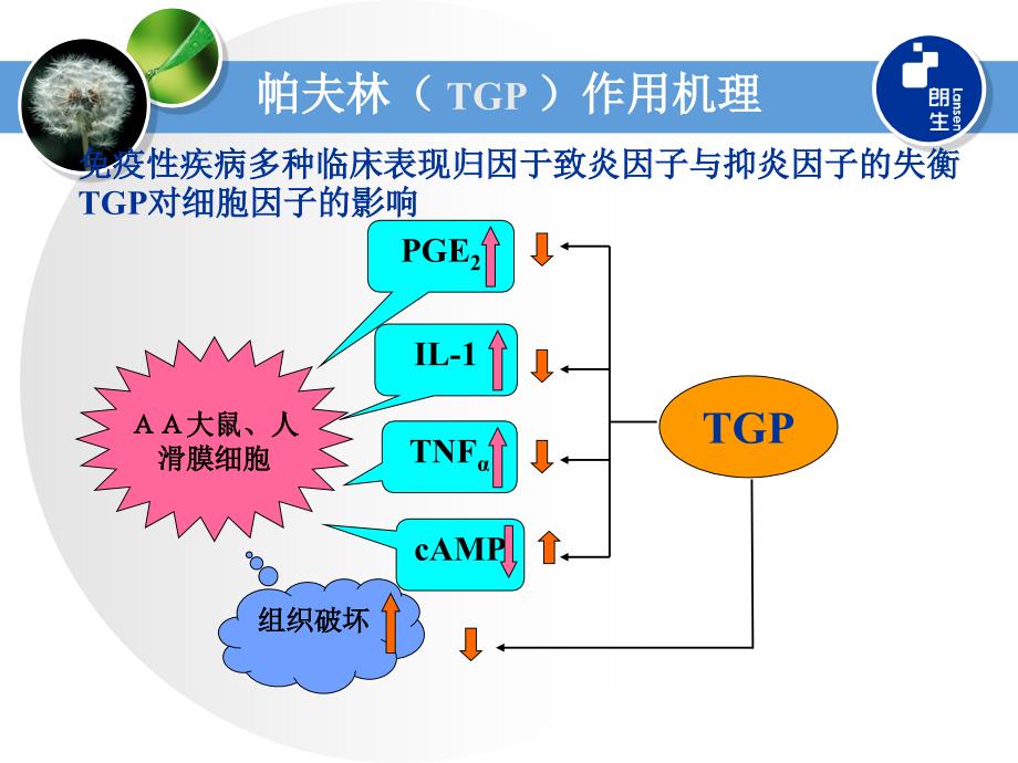 帕夫林临床应用探讨PPT文档_第3页