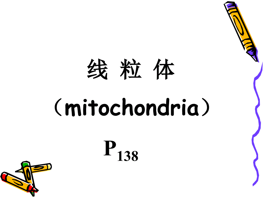 医学细胞生物学：06-线粒体的结构功能与遗传_第1页