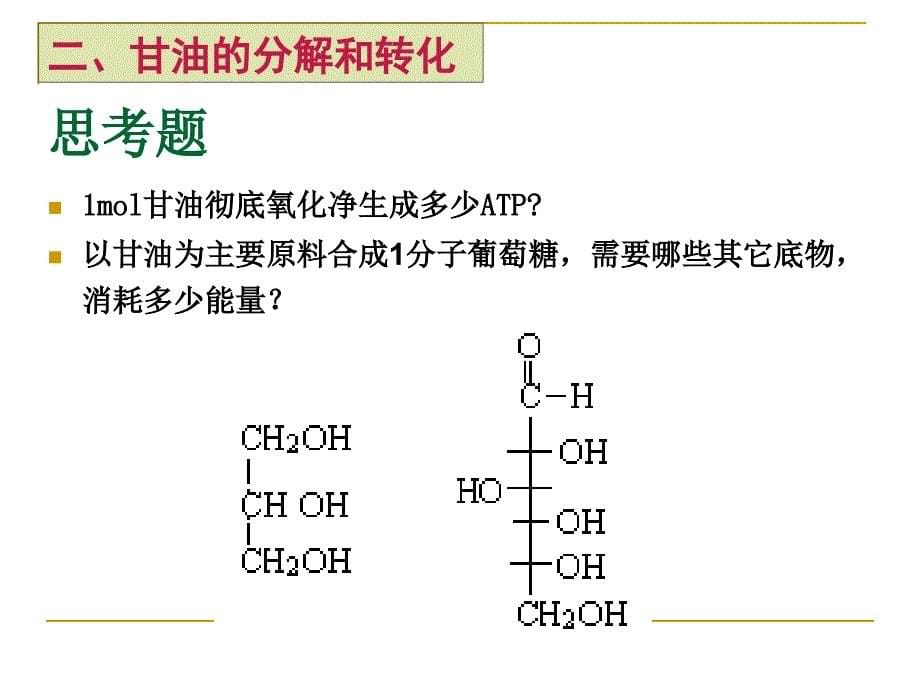 《生物化学复习》PPT课件_第5页