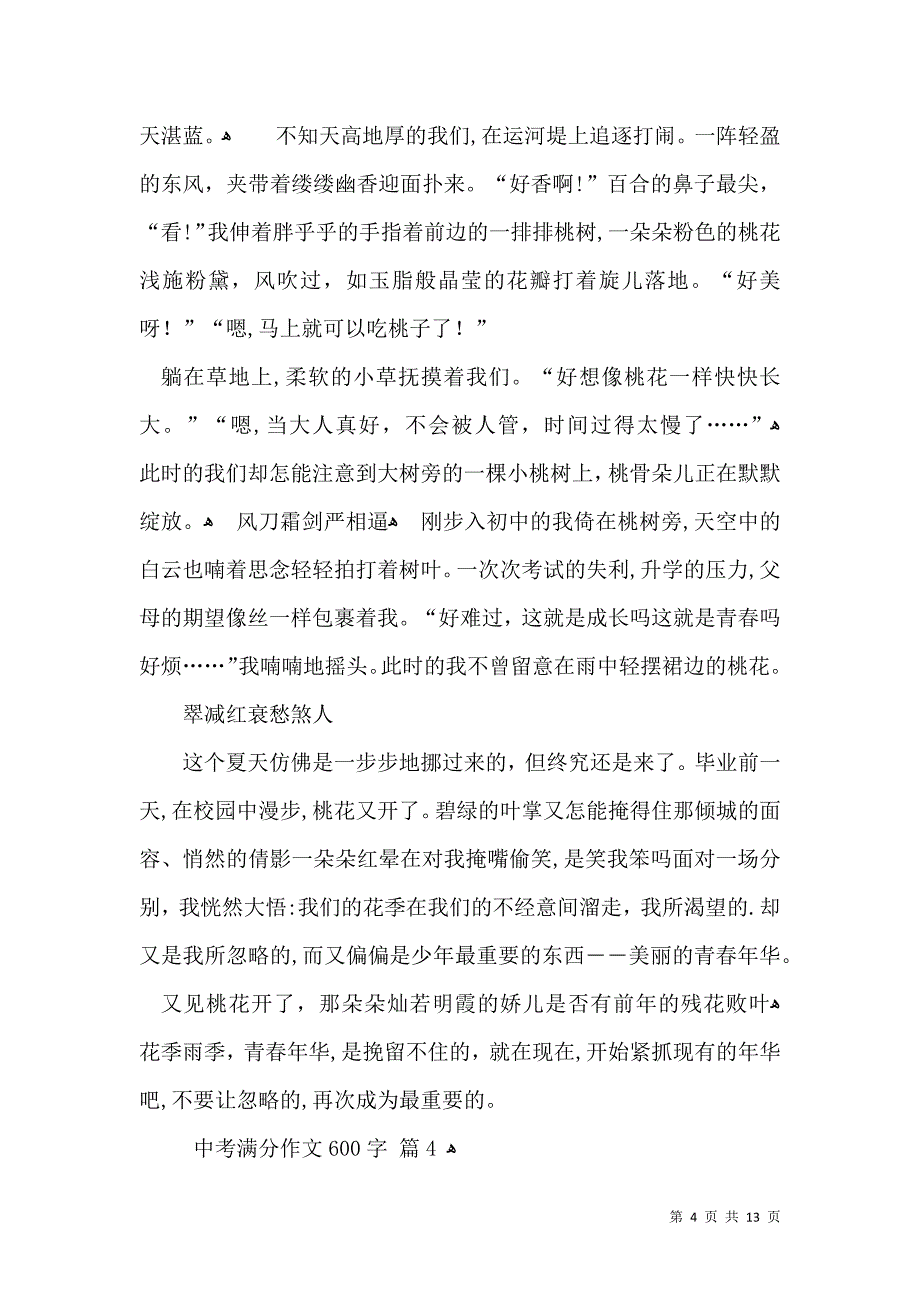 推荐中考满分作文600字集合十篇_第4页