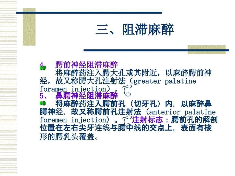 《上颌神经阻滞麻醉》PPT课件.ppt_第5页