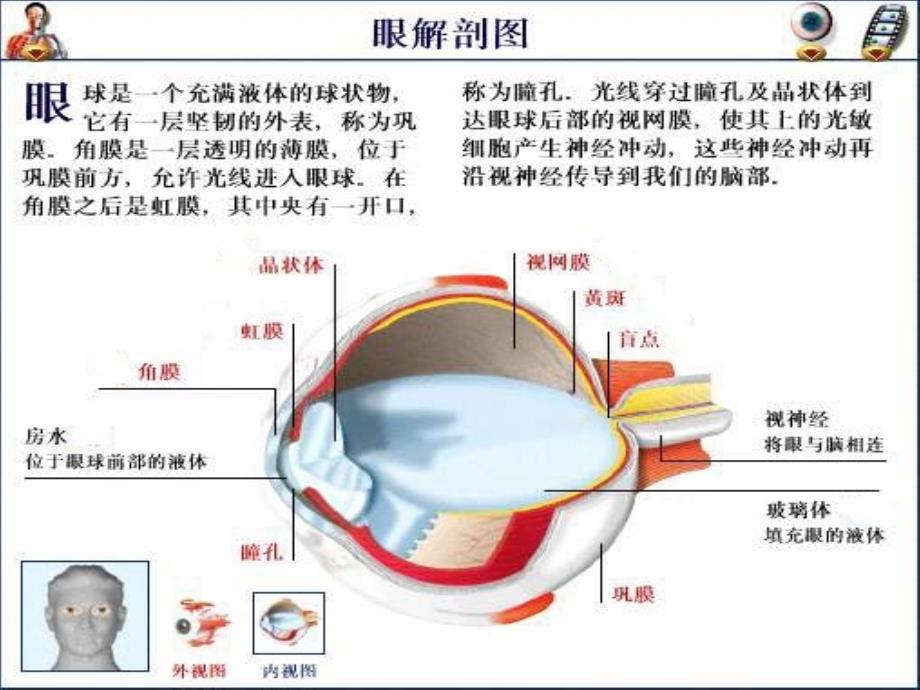 《白内障手术护理》PPT课件.ppt_第4页