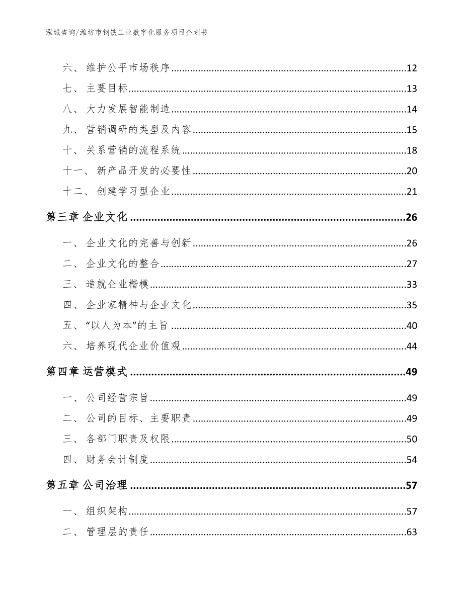 潍坊市钢铁工业数字化服务项目企划书（模板范文）_第3页