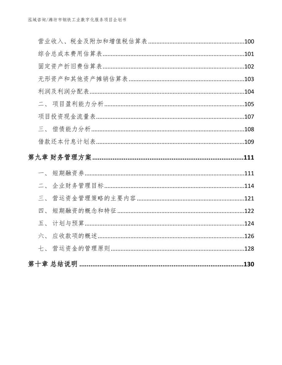 潍坊市钢铁工业数字化服务项目企划书（模板范文）_第5页