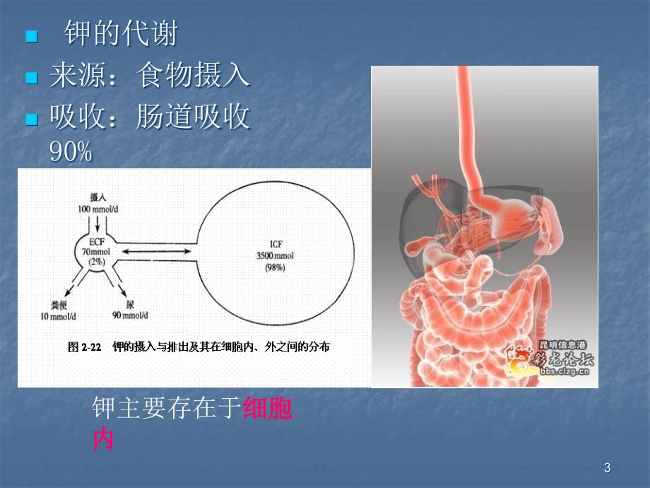 电解质的代谢异常ppt医学课件_第3页