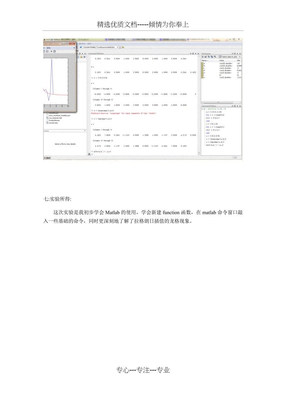 实验二-拉格朗日插值龙格现象(共5页)_第5页