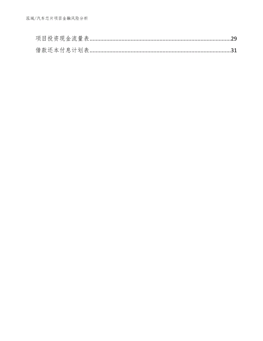 汽车芯片项目金融风险分析 (17)_第2页