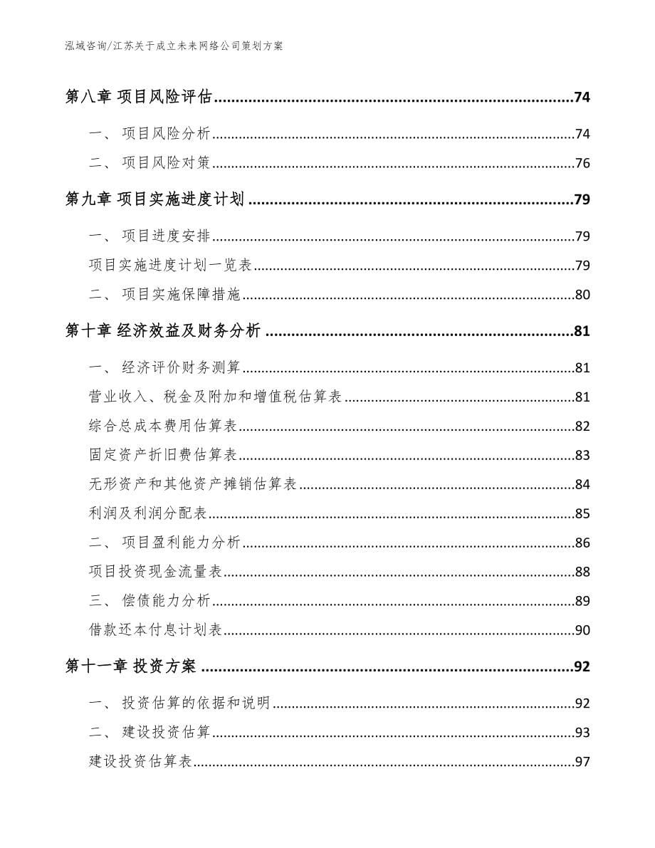 江苏关于成立未来网络公司策划方案_范文模板_第5页