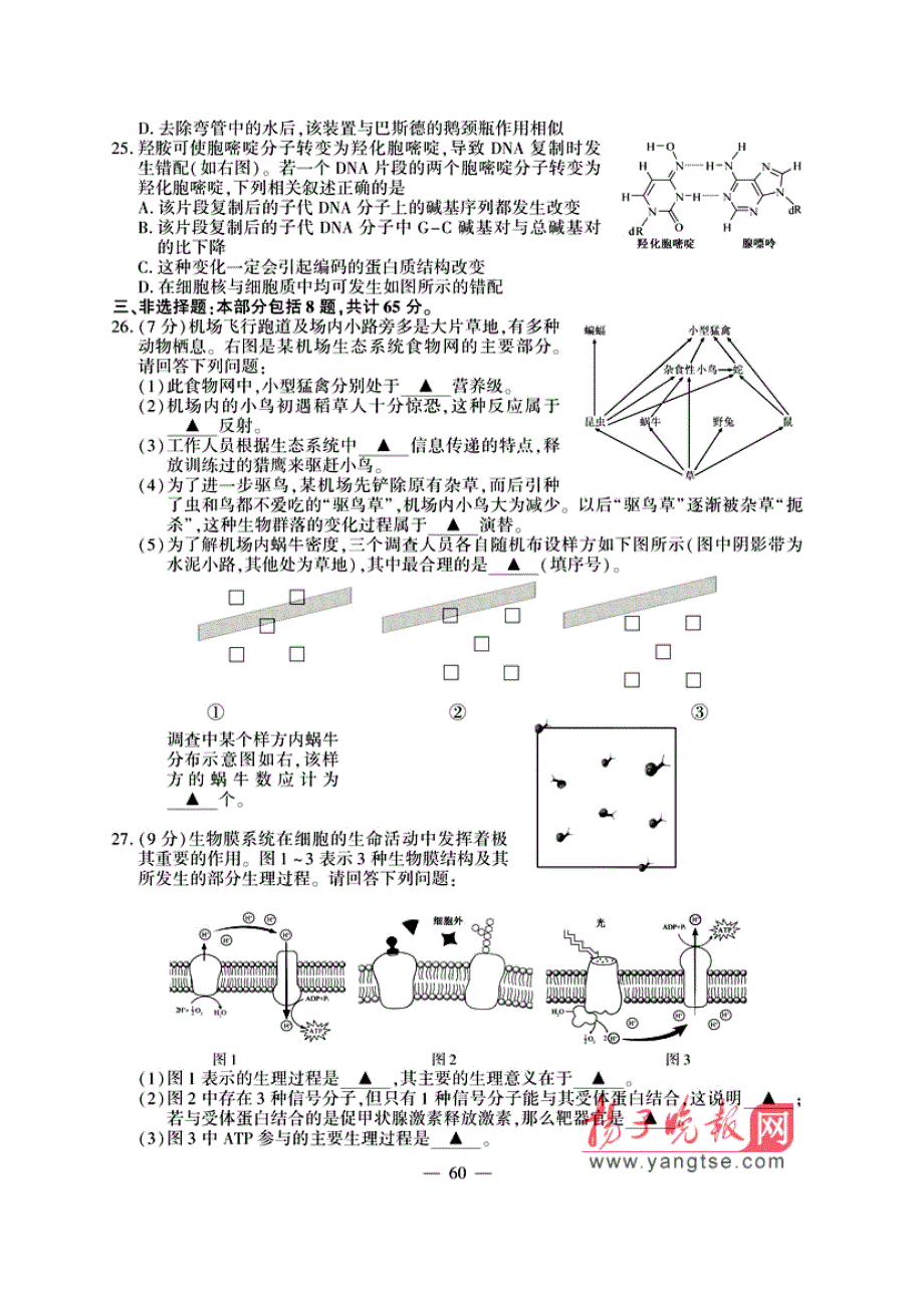 2014届江苏高考生物试卷.doc_第4页