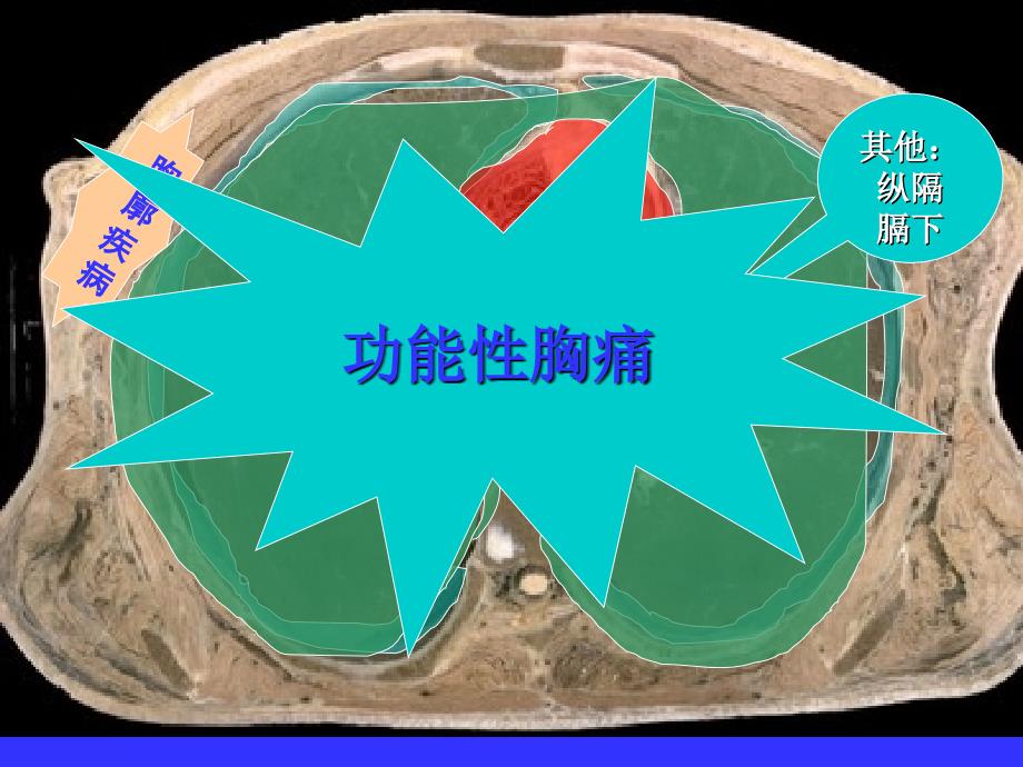 胸痛50恶呕30泄14秘_第3页