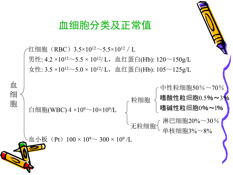 组织学与胚胎学：05-血液和淋巴_第3页