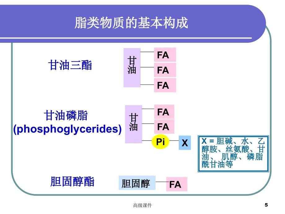 生物化学脂类代谢#学校课件_第5页