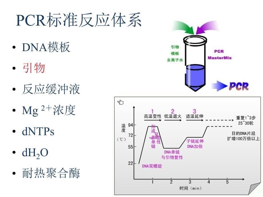 PCR质控及问题分析_第5页