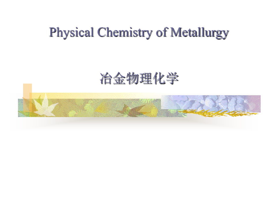东北大学冶金物理化学简明教程_第1页