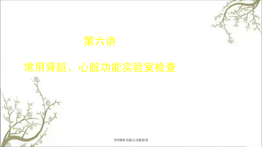 学时6肾功能心功能检查_第1页