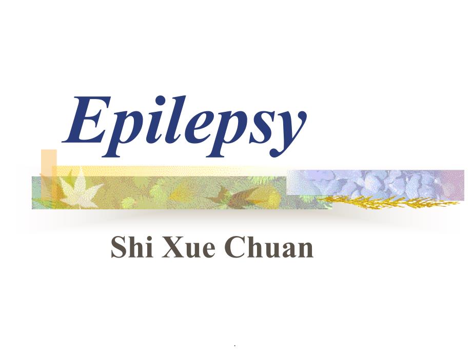 Epilepsy分析_第1页