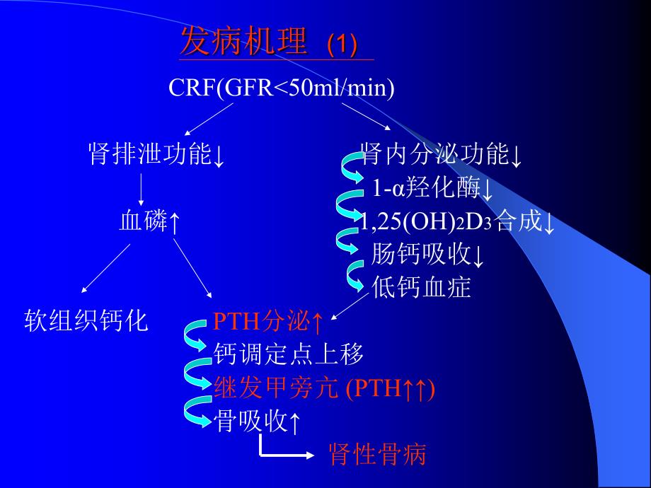 慢性肾衰患者甲旁亢的治疗_第2页