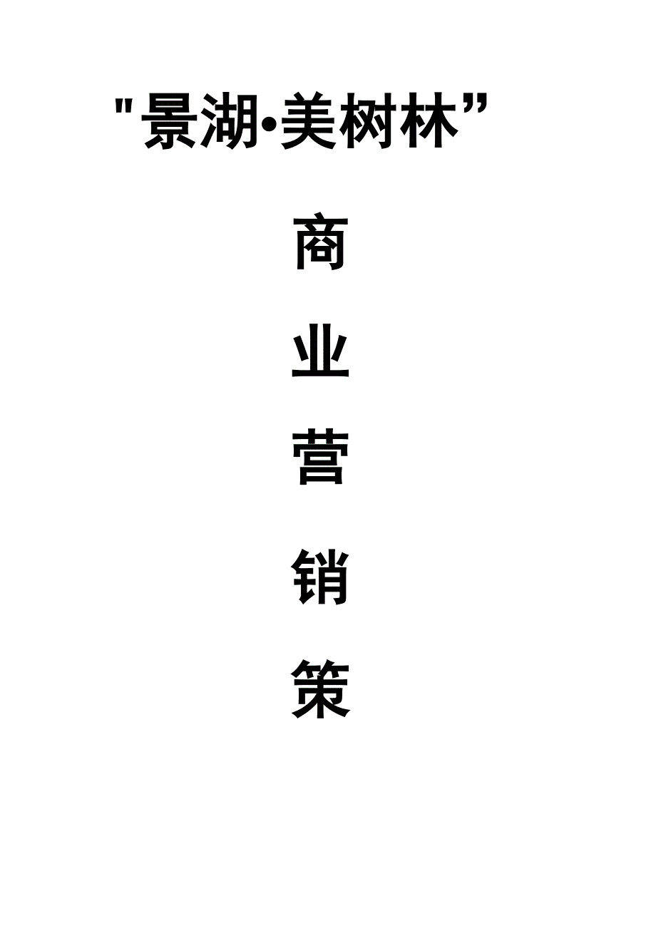 湖北荆州景湖商业地产专项项目专题策划案_第1页