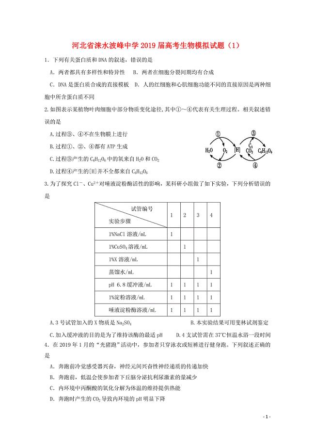 河北省涞水波峰中学高考生物模拟试题10605016