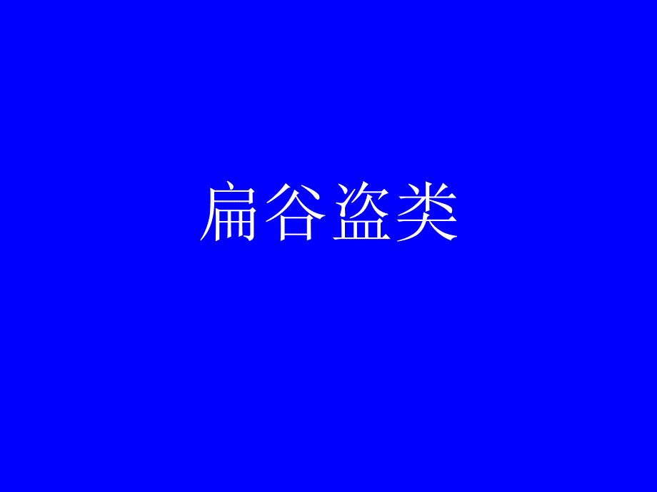 常见仓储害虫PPT课件_第1页