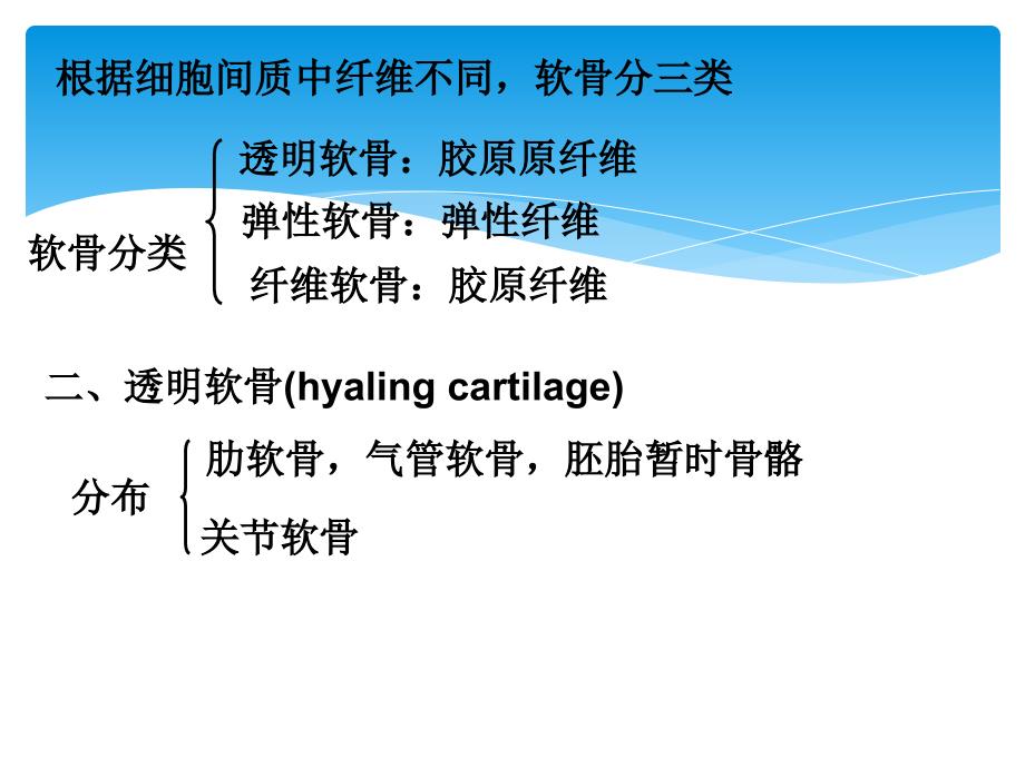 软骨组织_第3页