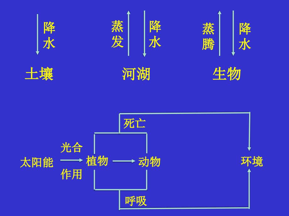 高中一年级地理必修1第五章自然地理环境的整体性与差异性第一课时课件_第4页