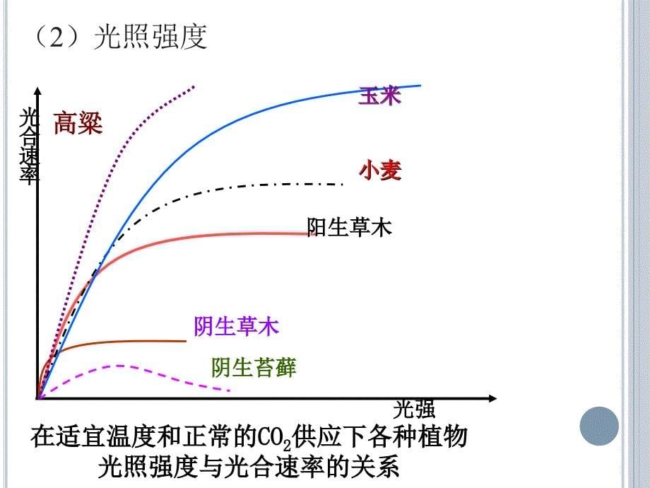 环境因素对光合速率的影响141126精品教育_第5页