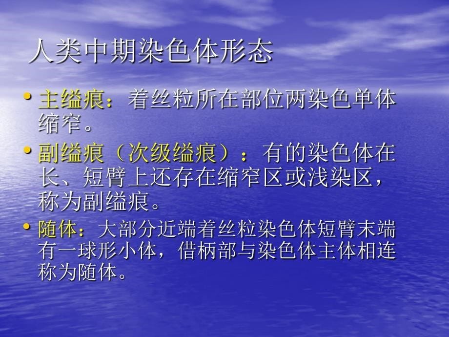 医学遗传学课件：第九章人类染色体及染色体病_第5页