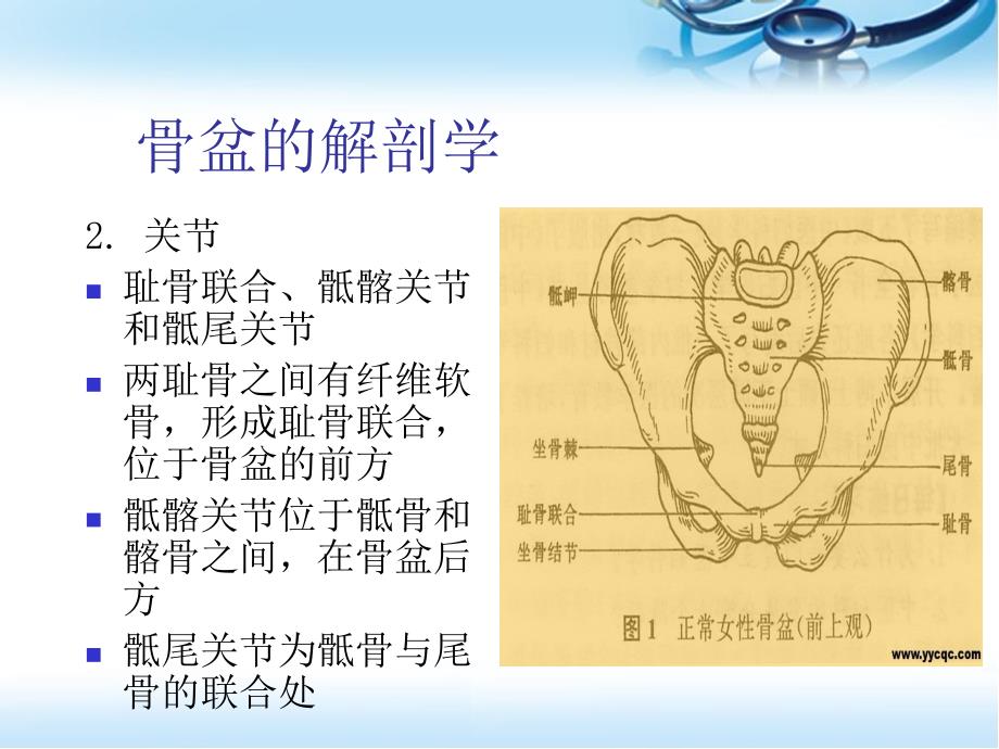 骨盆骨折病人的护理管理ppt参考课件_第3页