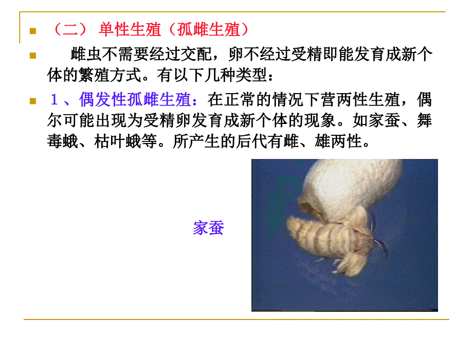 [农学]园林植物病虫害防治课件3第七章_第4页