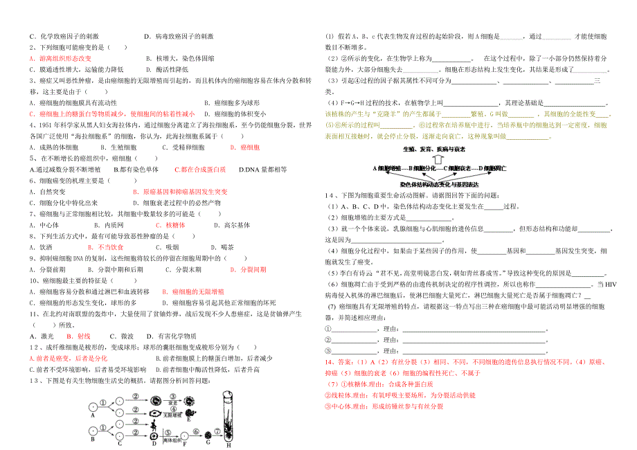 64细胞的癌变自学案_第2页