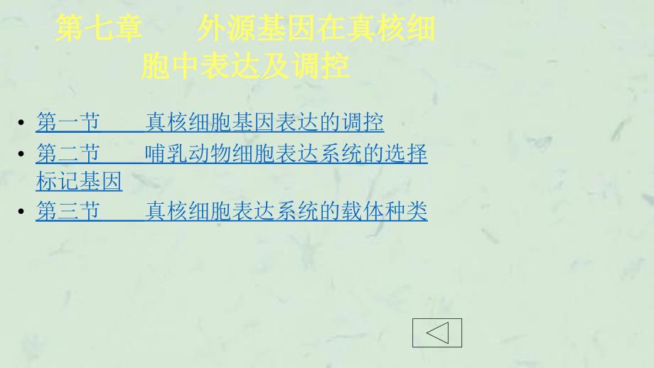 外源基因在真核细胞中表达及调控课件_第1页