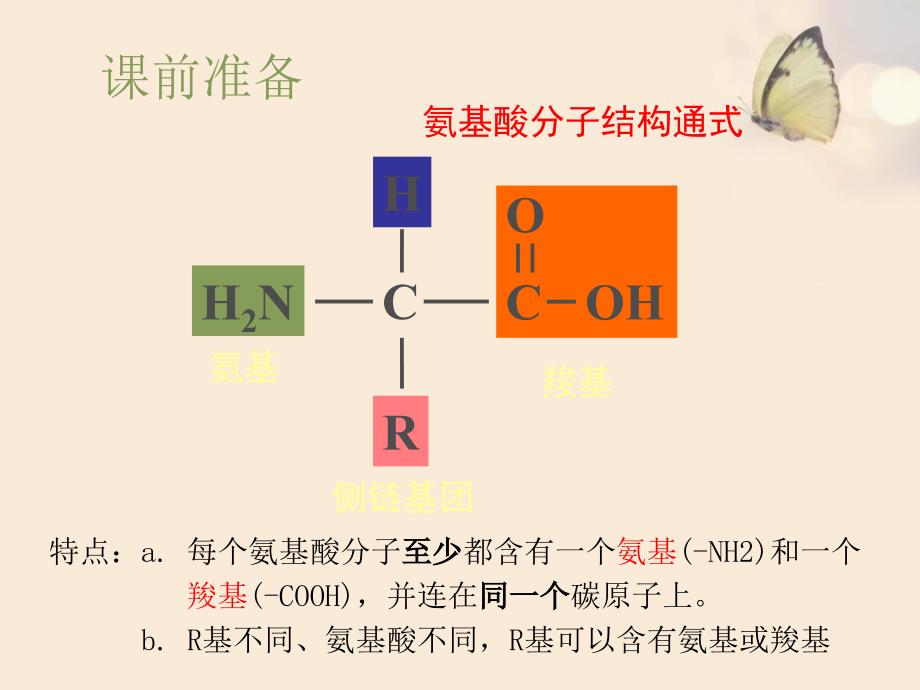 氨基酸形成蛋白质的过程_第1页